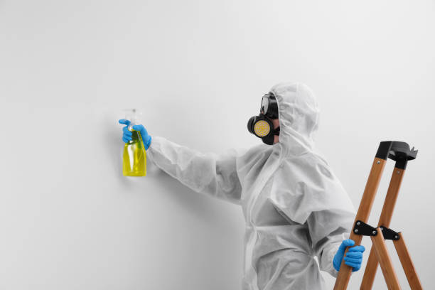 Mold Documentation for Insurance Claims in Walden, NY